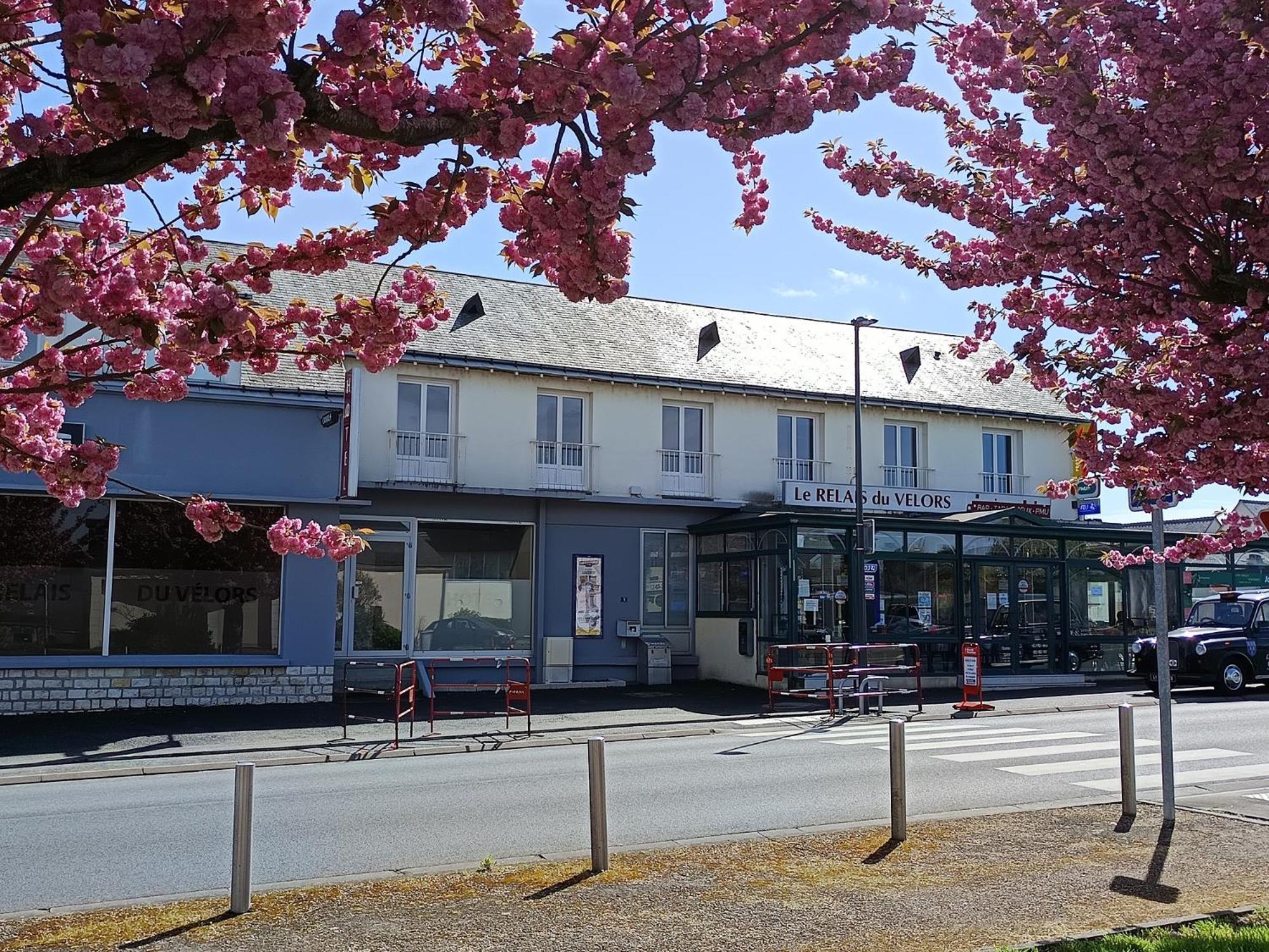 Le Relais Du Velors Hotel Beaumont-en-Véron Exterior photo
